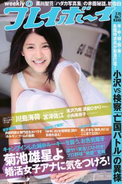 乱世英雄乱世情